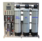 1000L/H Reverse Osmosis System Remove Salt Manganese Iron Flouride Lead And Calcium