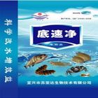 Adsorptive Antidote Diatom Water Treatment Chemicals Purifying complex Microelement Deodorization